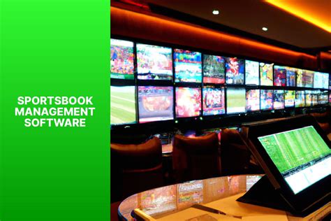 sportsbook management solution